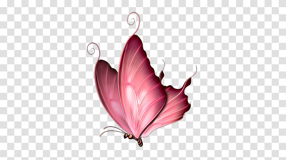 Pink Butterfly Image, Pattern, Ornament Transparent Png