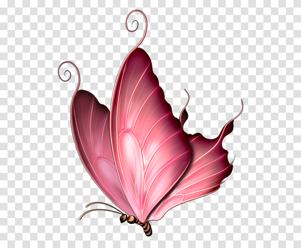 Pink Butterfly Image Pink Butterfly, Pattern, Ornament, Graphics, Art Transparent Png