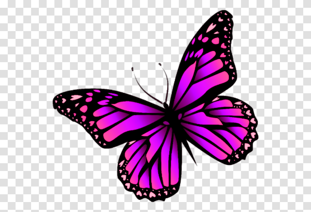 Pink Butterfly Sticker, Insect, Invertebrate, Animal, Lamp Transparent Png