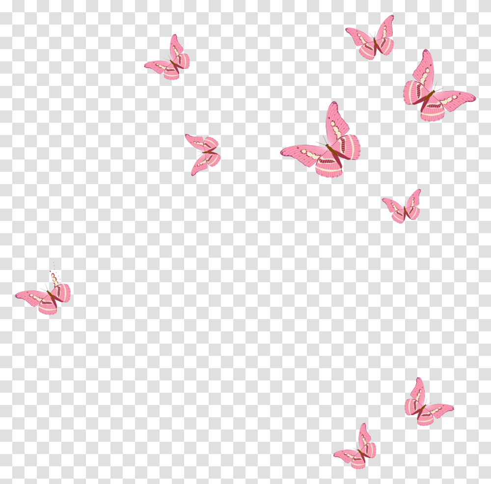 Pink Butterfly Stock Photos Royalty Free Pink Butterfly Images, Leaf, Plant, Flower, Blossom Transparent Png