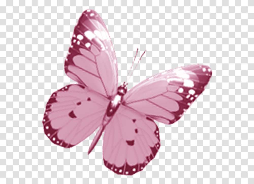 Pink Butterfly Watercolor Butterflies Background, Plant, Petal, Flower, Blossom Transparent Png