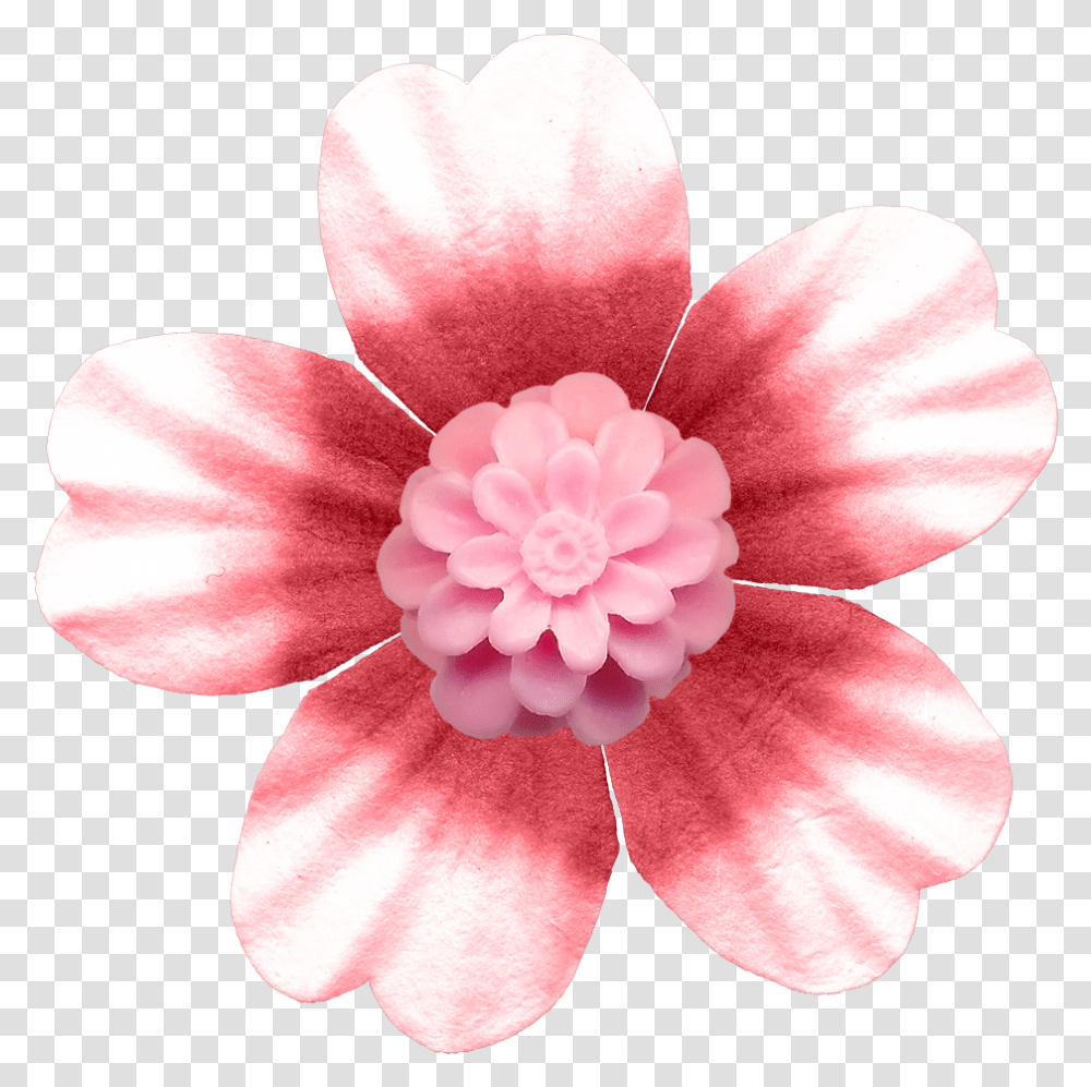 Pink Button Flower Rose Pink Flower Buttons Download Artificial Flower, Plant, Petal, Blossom, Dahlia Transparent Png