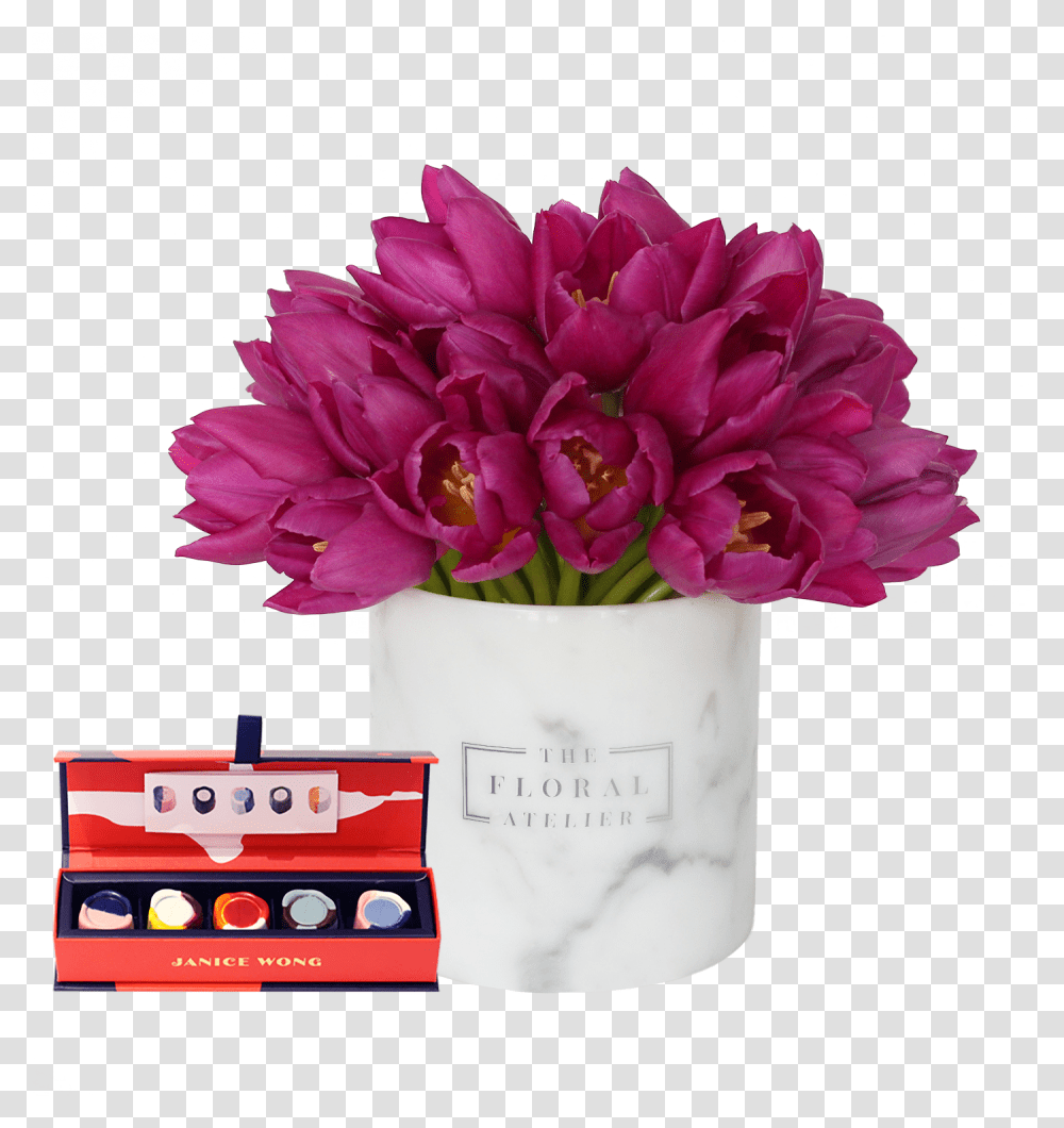 Pink Carnation Lovely, Plant, Flower, Geranium, Flower Bouquet Transparent Png