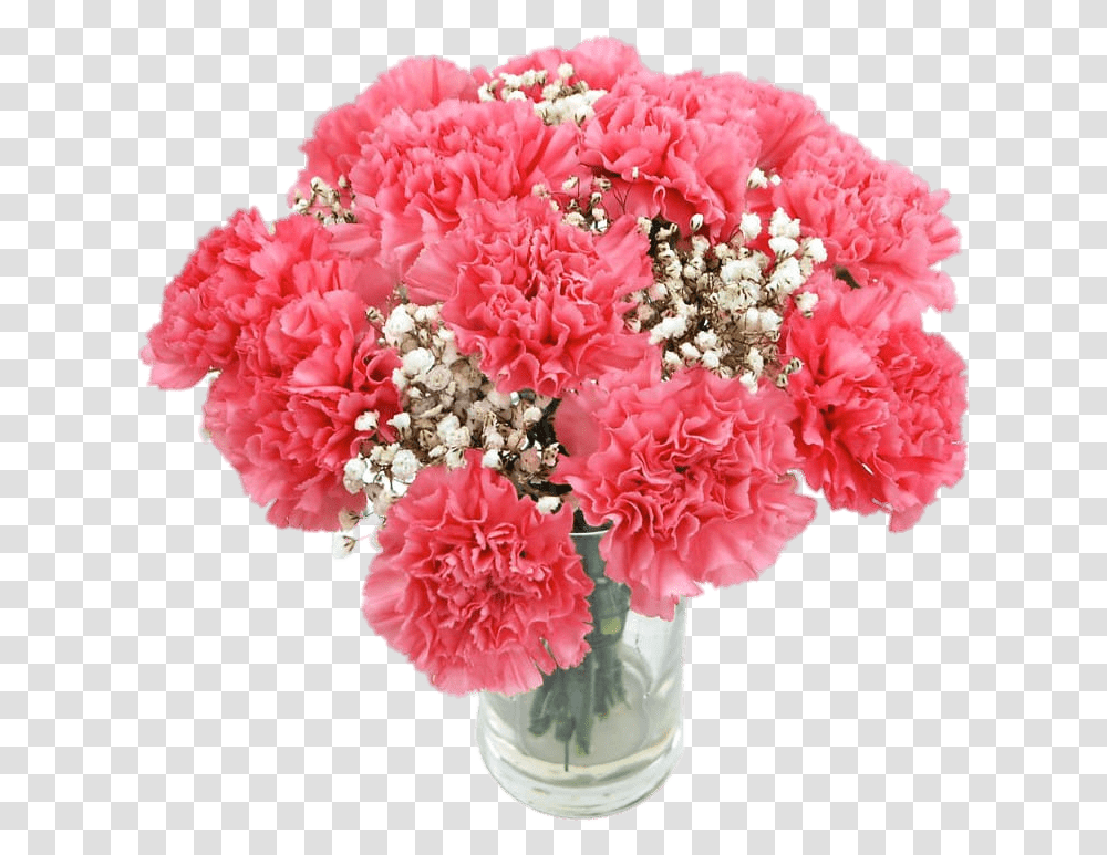 Pink Carnations Carnation Flower Bouquet, Plant, Blossom, Flower Arrangement Transparent Png