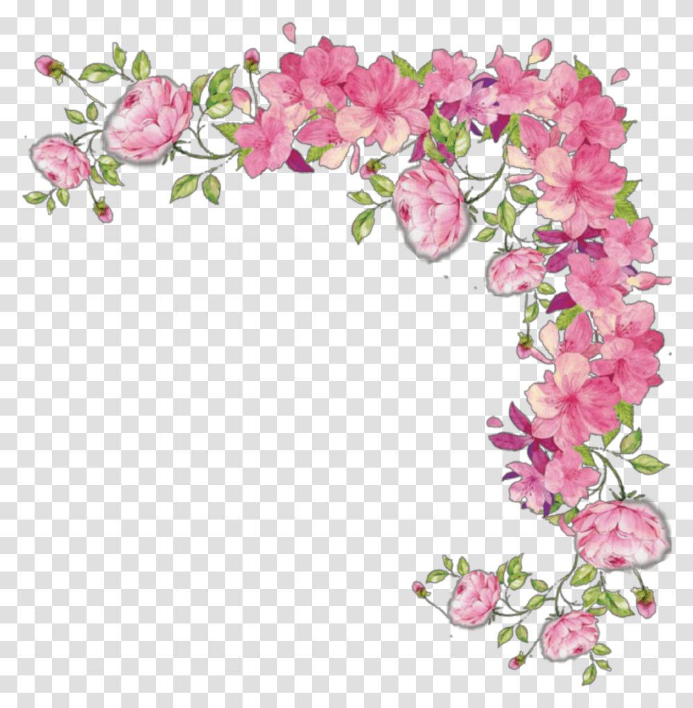 Pink Cascading Rose Vine Images Clear Background Flower Border, Plant, Blossom, Petal, Geranium Transparent Png
