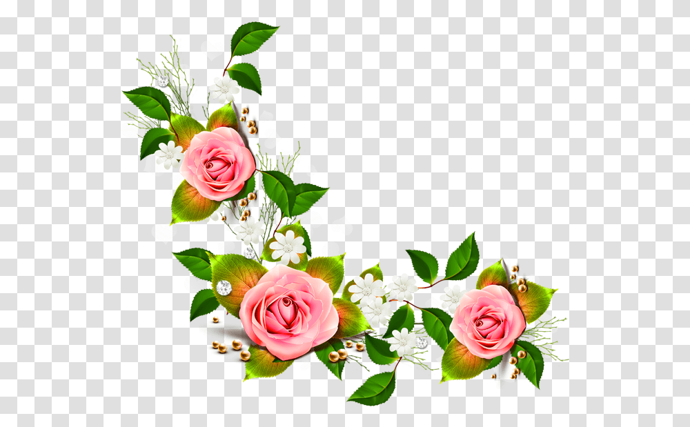 Pink Cascading Rose Vine Images Flower Images Without Background, Graphics, Art, Floral Design, Pattern Transparent Png