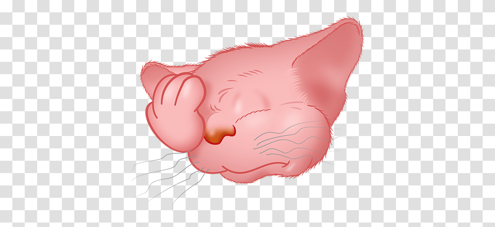 Pink Cat Emoji Messages Sticker 6 Illustration, Hand, Wrist, Rodent, Mammal Transparent Png