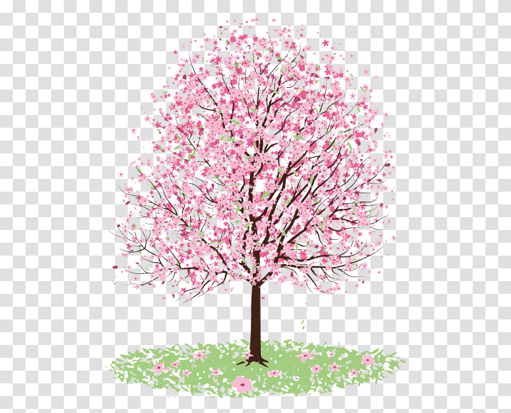 Pink Chinese Tree Drawing, Plant, Flower, Blossom, Cherry Blossom Transparent Png
