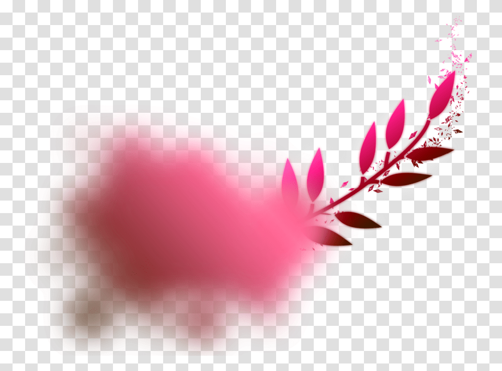 Pink Cloud Floral Design, Petal, Flower, Plant, Blossom Transparent Png