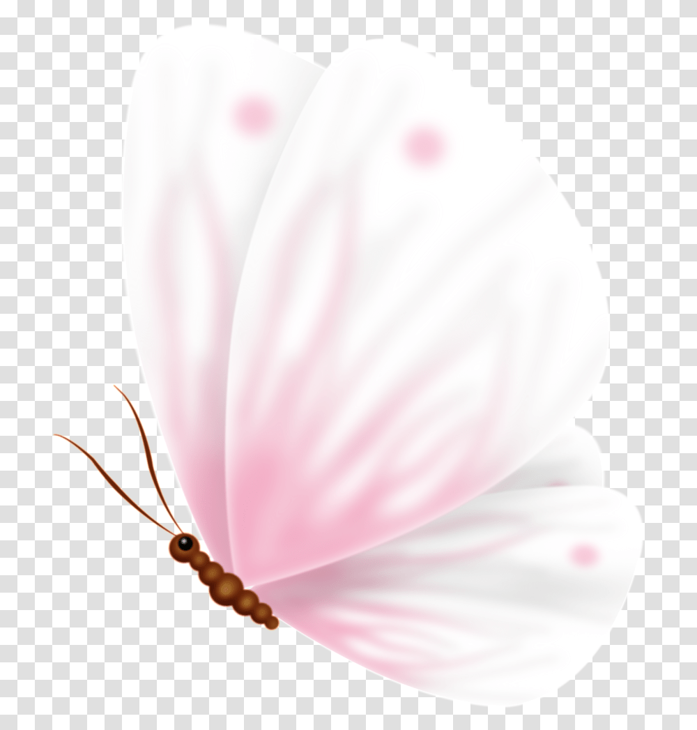 Pink Cute Sweet Butterfly Pass Moth Orchid, Petal, Flower, Plant, Blossom Transparent Png