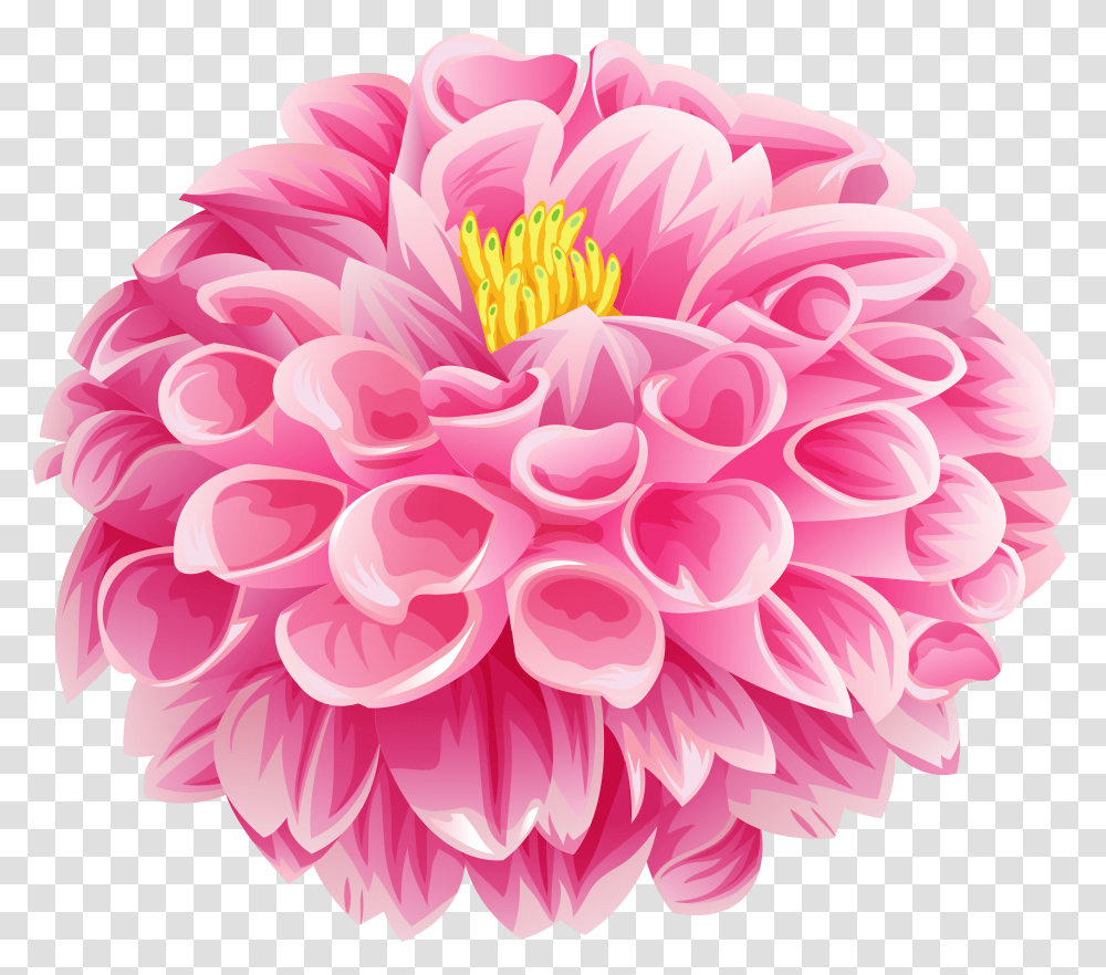 Pink Dahlia Flower Clip Transparent Png