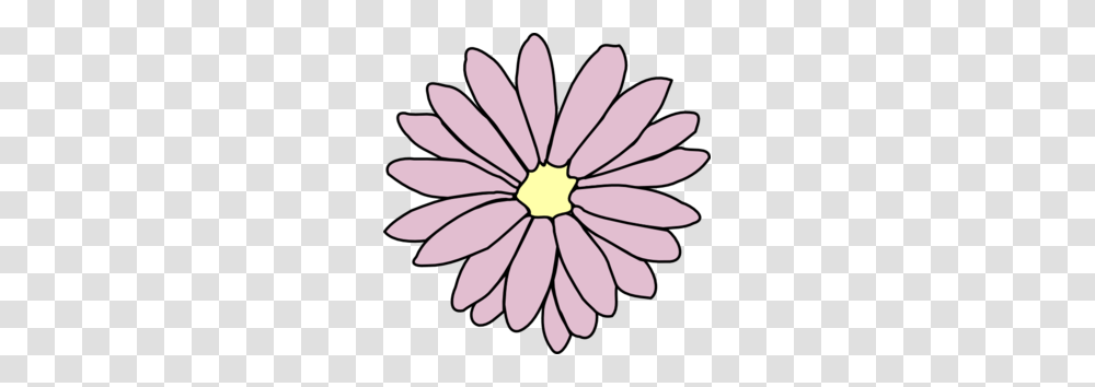 Pink Daisy Clip Art, Flower, Plant, Daisies, Blossom Transparent Png