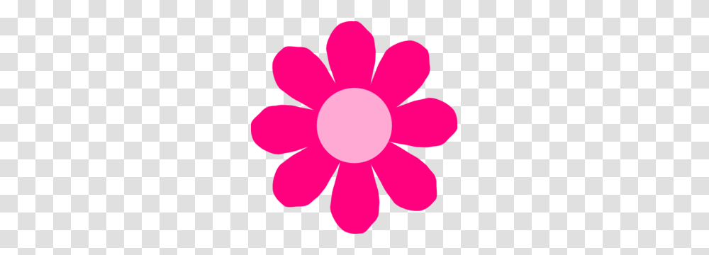 Pink Daisy Flower Clip Art, Petal, Plant, Blossom, Daisies Transparent Png