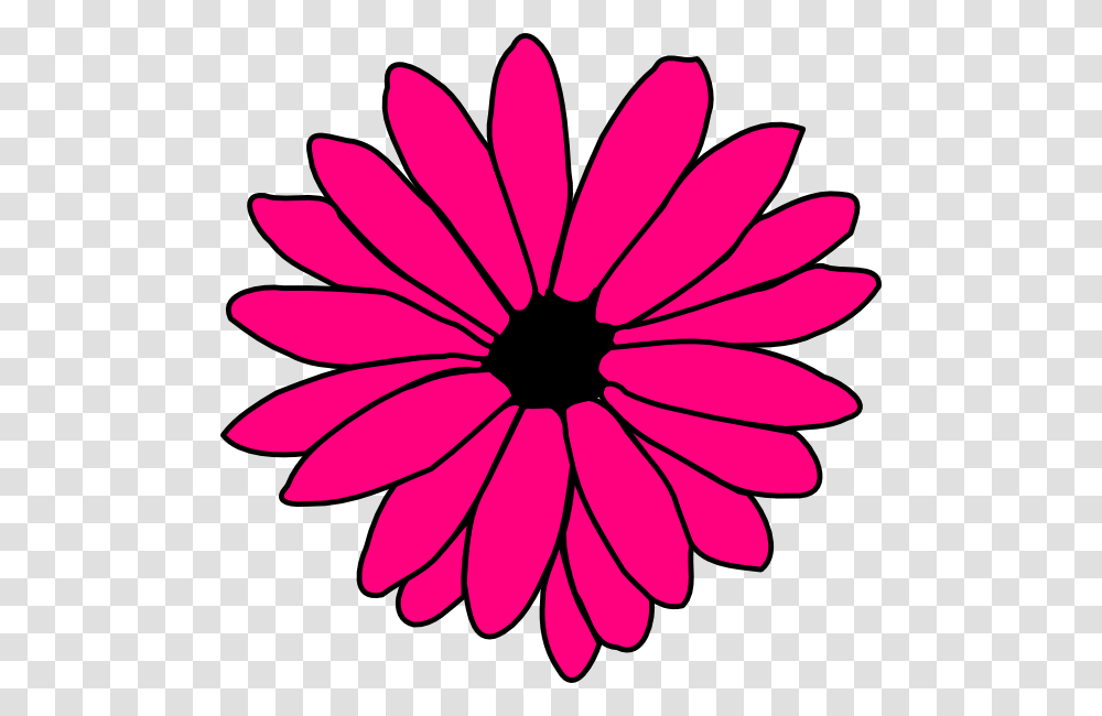 Pink Daisy Svg Clip Arts Pink Daisy Flower Clipart, Petal, Plant, Blossom, Daisies Transparent Png
