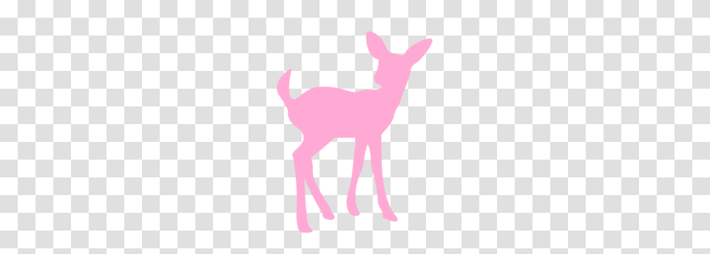 Pink Deer Image Clip Art, Animal, Mammal, Poster, Advertisement Transparent Png