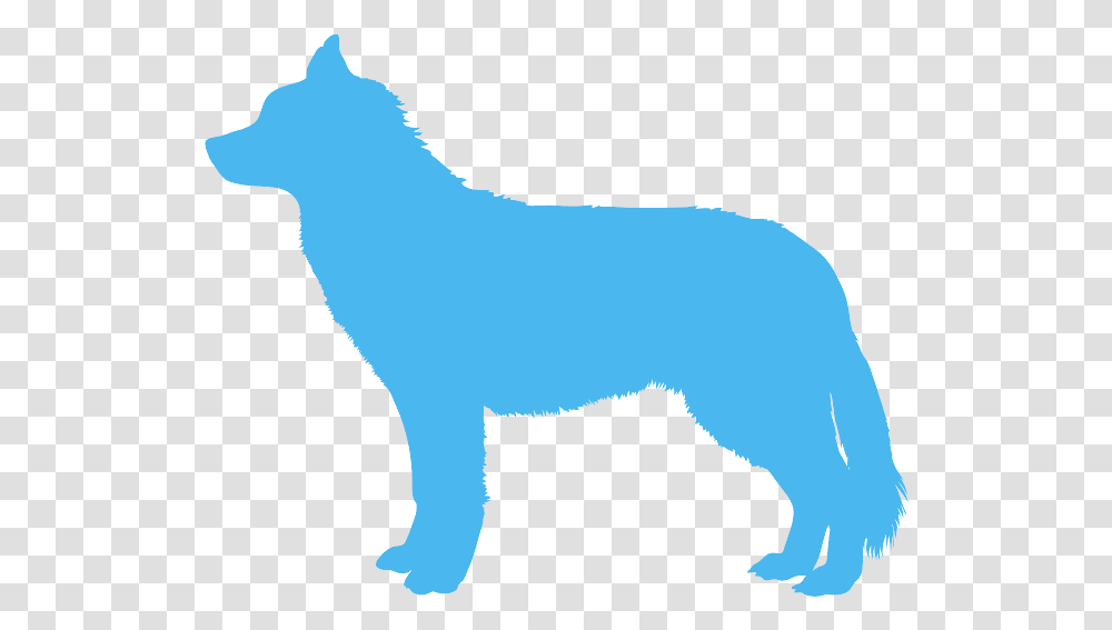 Pink Dog Silhouette, Mammal, Animal, Wolf, Coyote Transparent Png