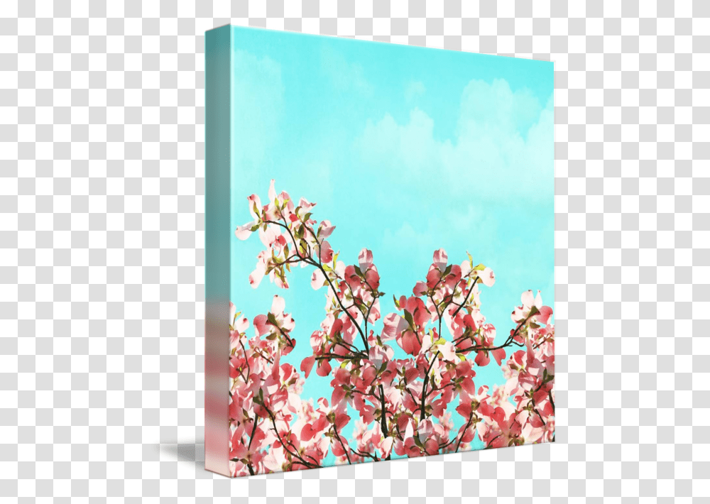 Pink Dogwood Canvas, Plant, Flower, Blossom, Painting Transparent Png