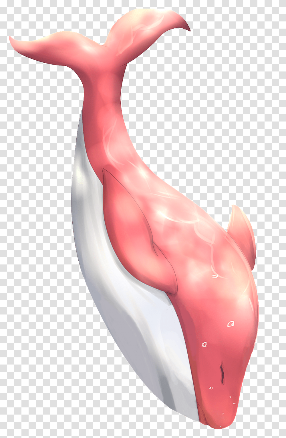 Pink Dolphin Material, Mouth, Lip, Stomach, Teeth Transparent Png