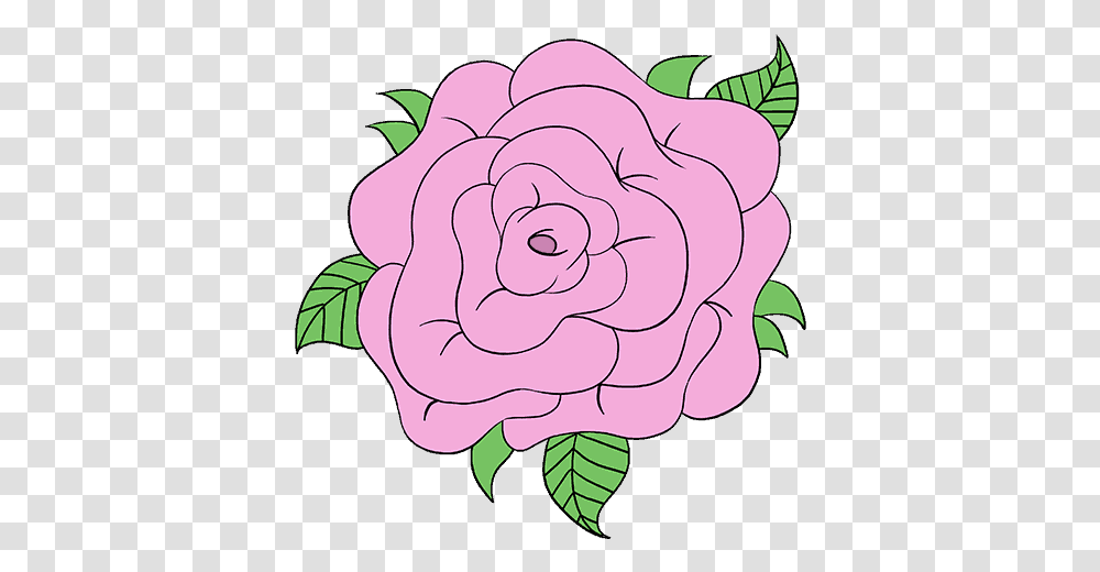 Pink Drawing Rose Clipart Free Download Drawing, Plant, Flower, Blossom, Pattern Transparent Png