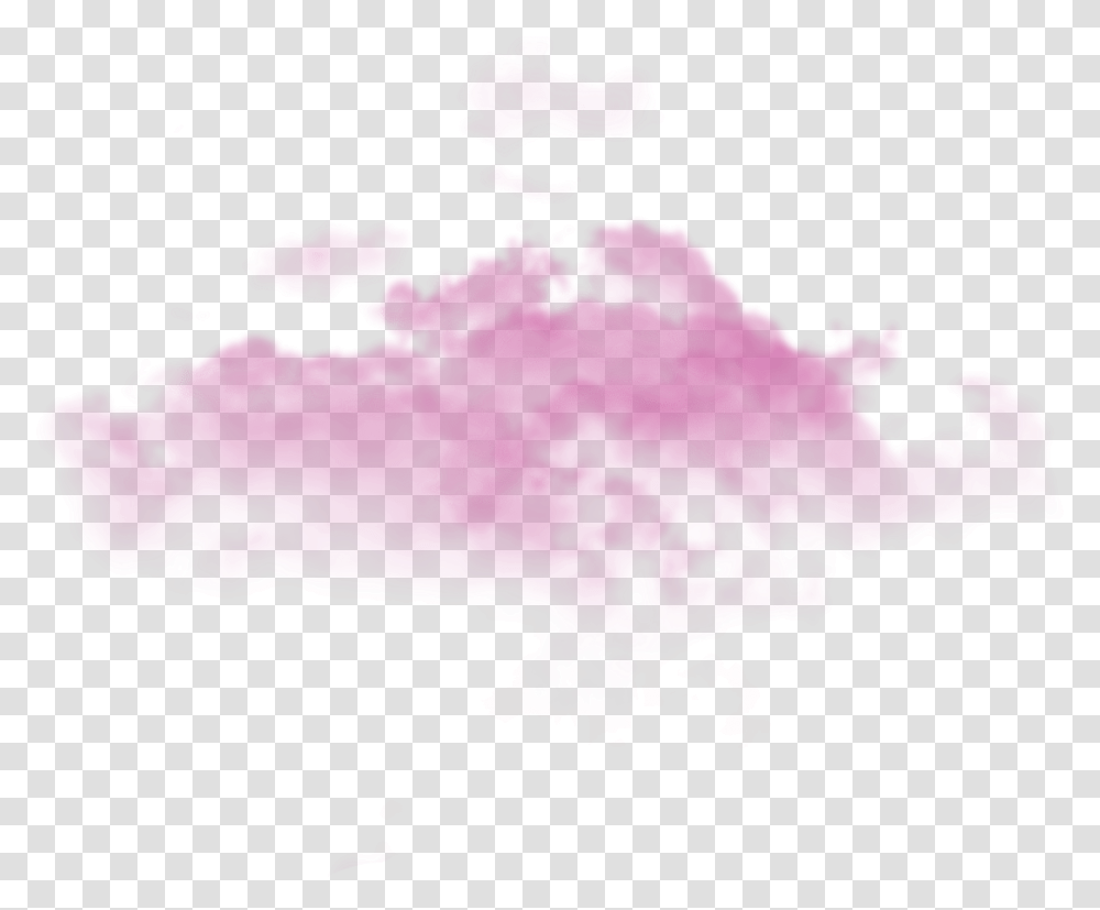 Pink Effect Download Pink Smoke Effect, Plot, Rose, Flower, Plant Transparent Png