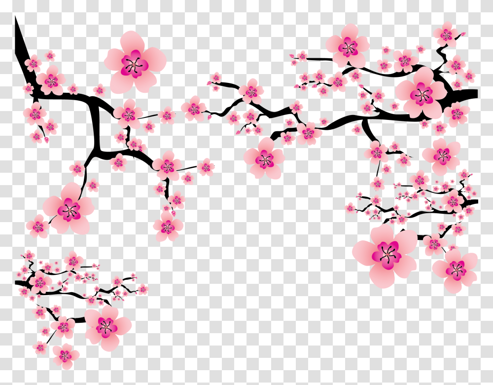 Pink Elements Branches Blossom Cherry Plum Japanese Cherry Blossom, Plant, Flower, Pattern, Petal Transparent Png