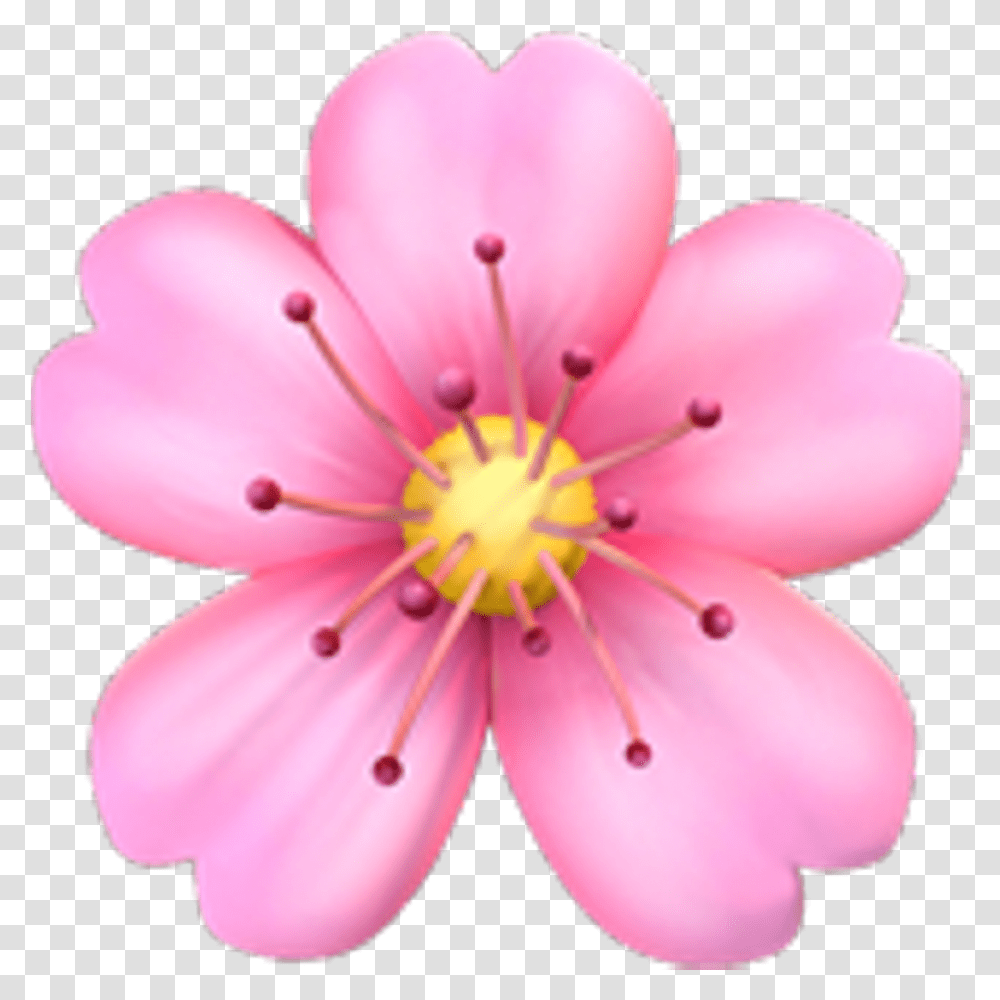 Pink Emoji Tumblr Posts Tumbralcom Flower Emoji, Plant, Blossom, Anther, Geranium Transparent Png