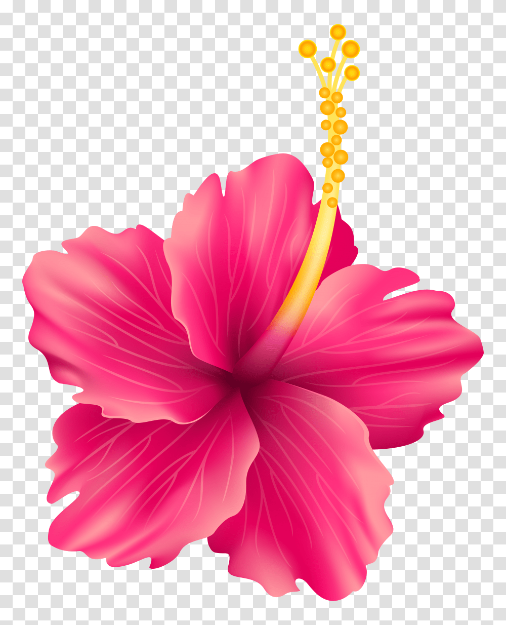 Pink Exotic Flower Clip Hawaiian Flowers Transparent Png