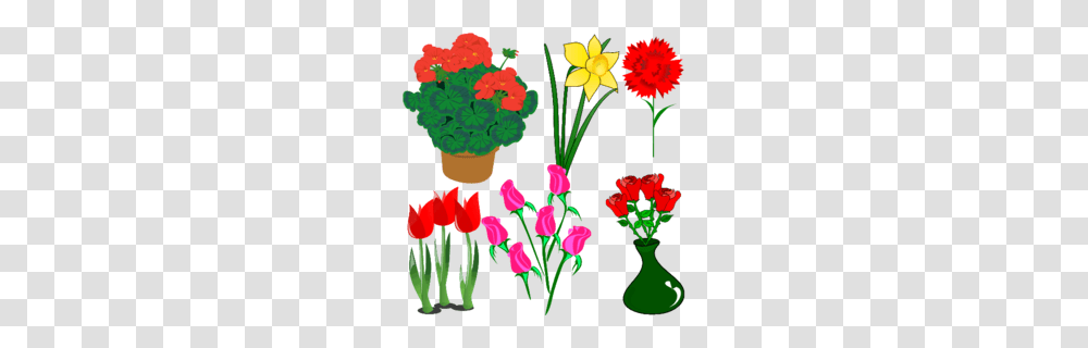 Pink Family Clipart, Plant, Flower, Blossom, Carnation Transparent Png