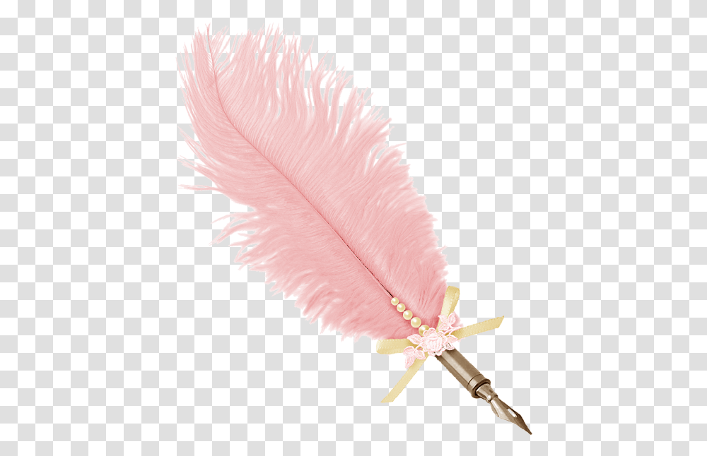 Pink Feather Pink Feathers Free, Bird, Animal, Bottle Transparent Png