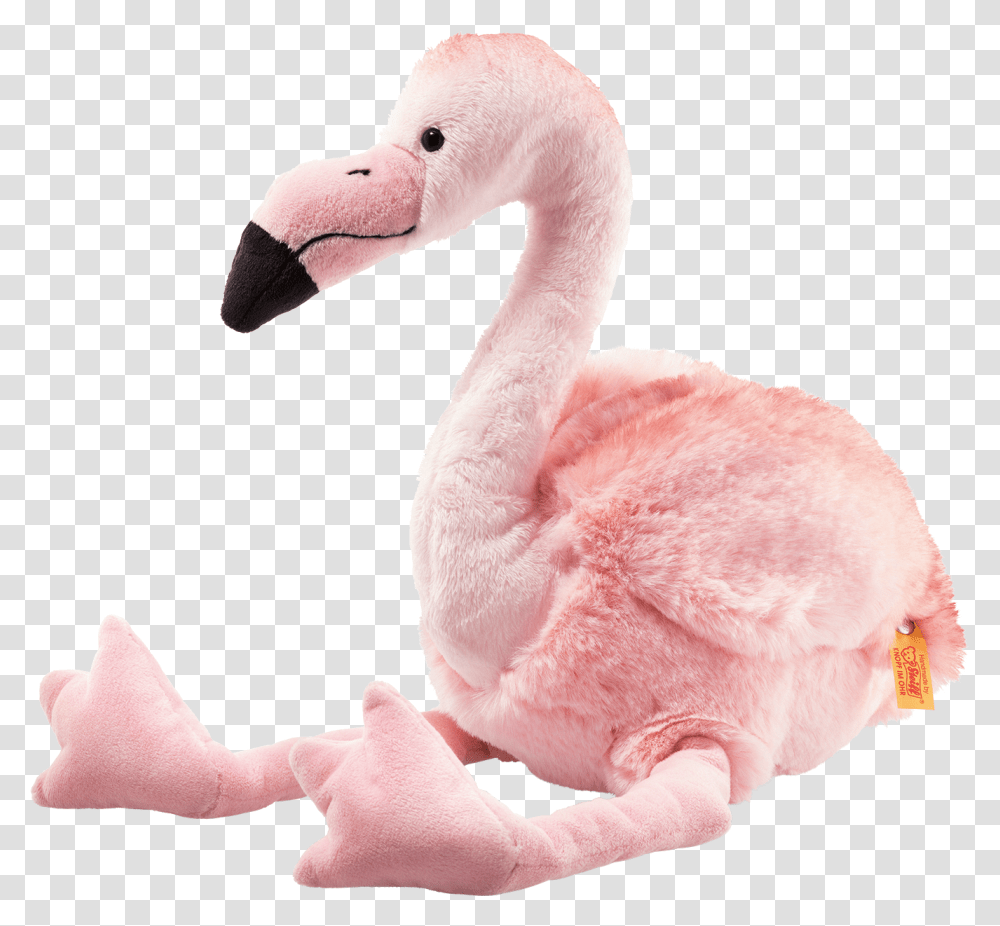 Pink Flamingo, Animal, Bird, Person, Human Transparent Png