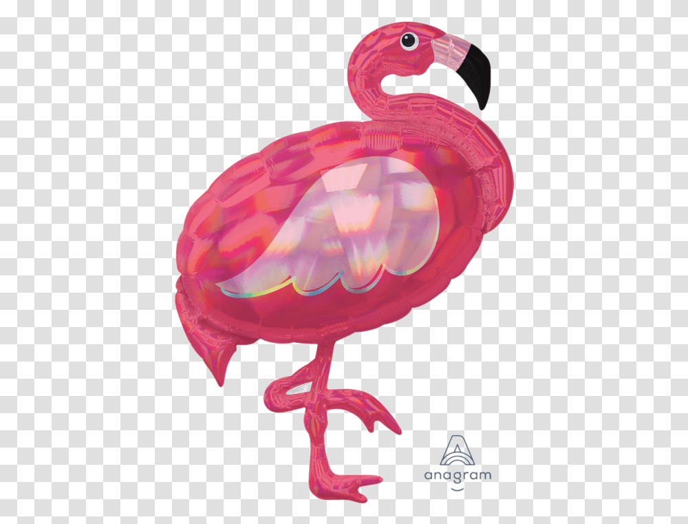 Pink Flamingo, Animal, Bird, Sea Life, Invertebrate Transparent Png