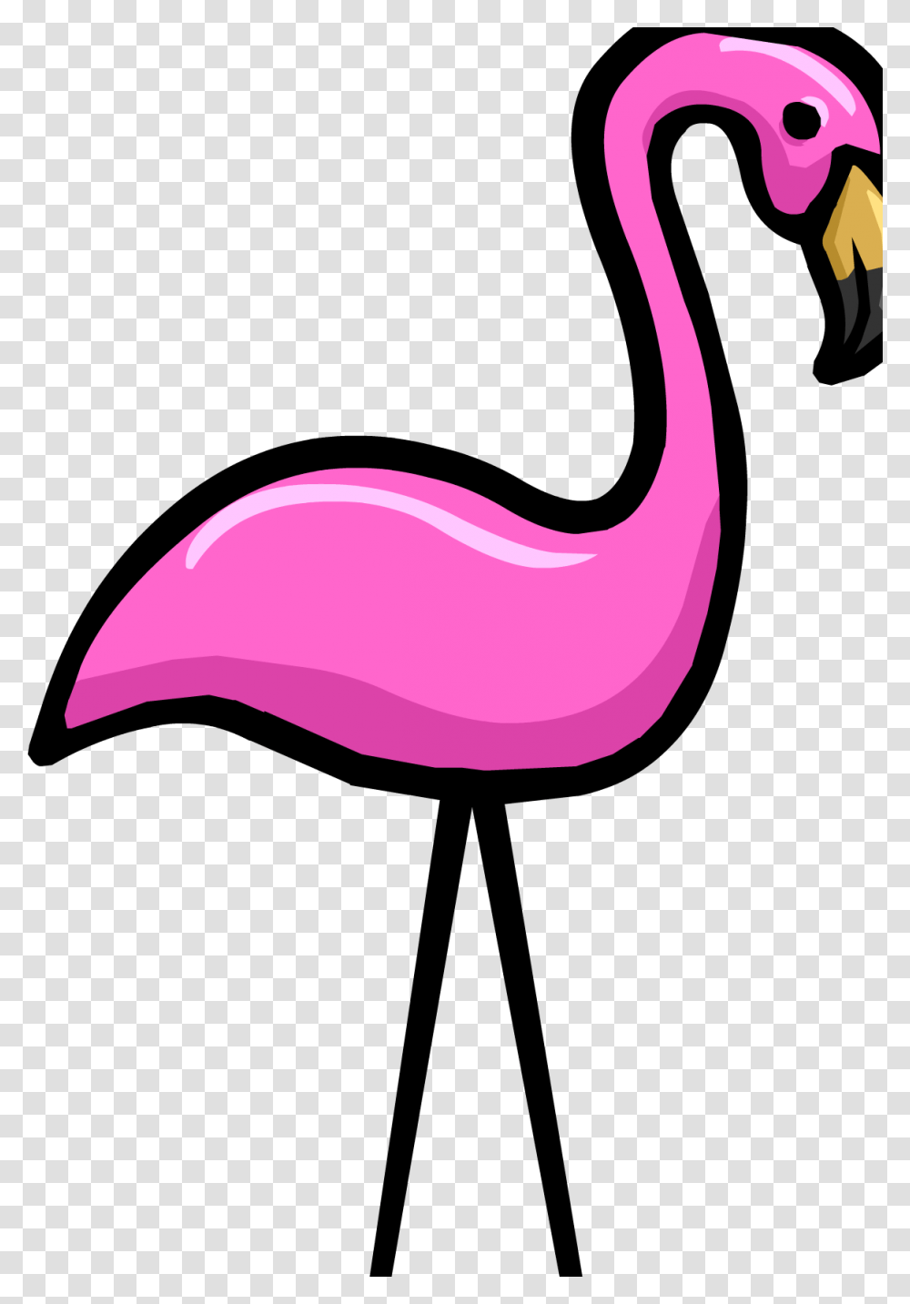 Pink Flamingo, Animal, Bird, Stomach, Mouth Transparent Png