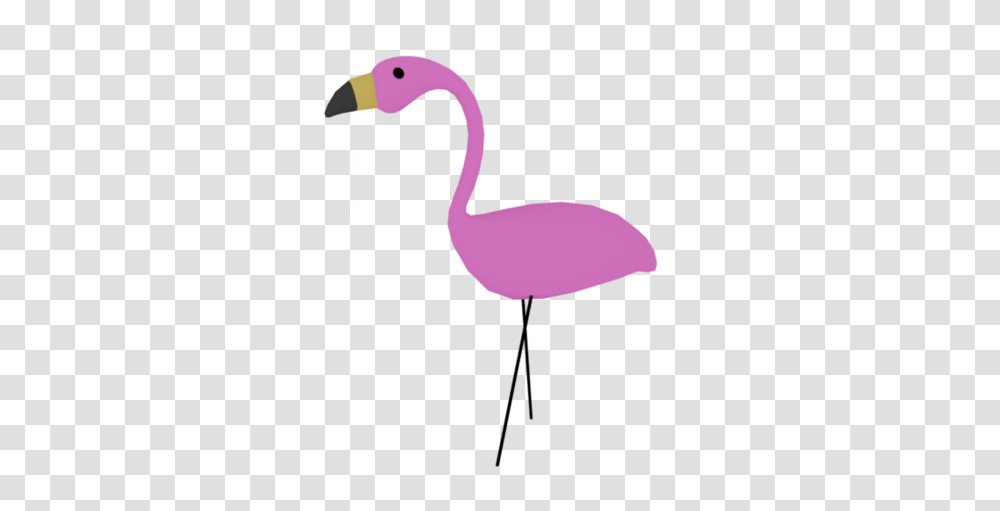 Pink Flamingo Animal Figure, Bird, Waterfowl, Swan, Black Swan Transparent Png