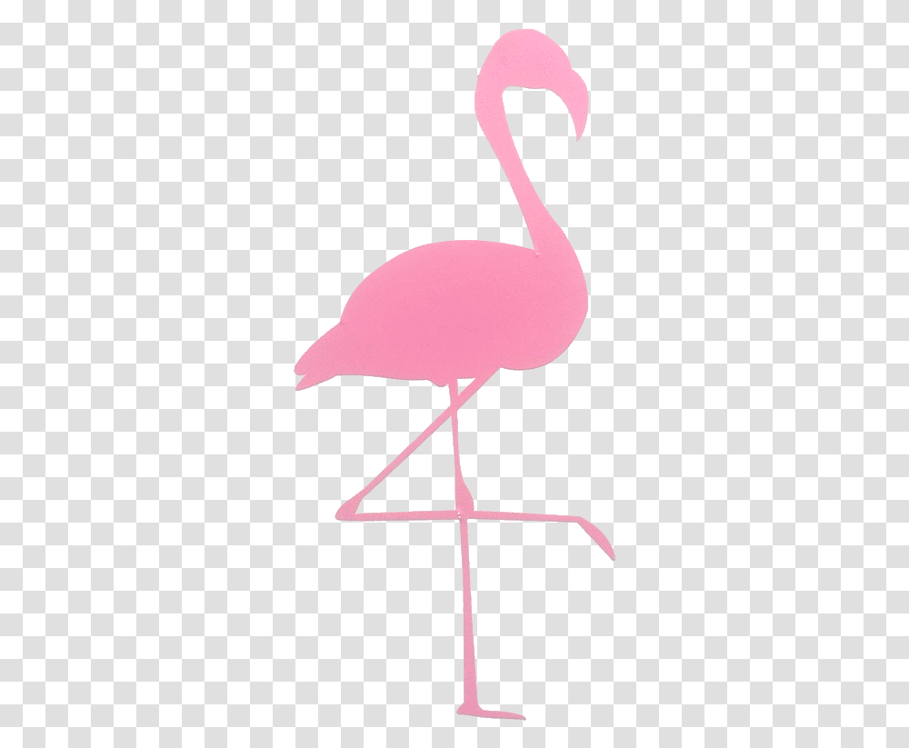 Pink Flamingo, Bird, Animal, Cross Transparent Png