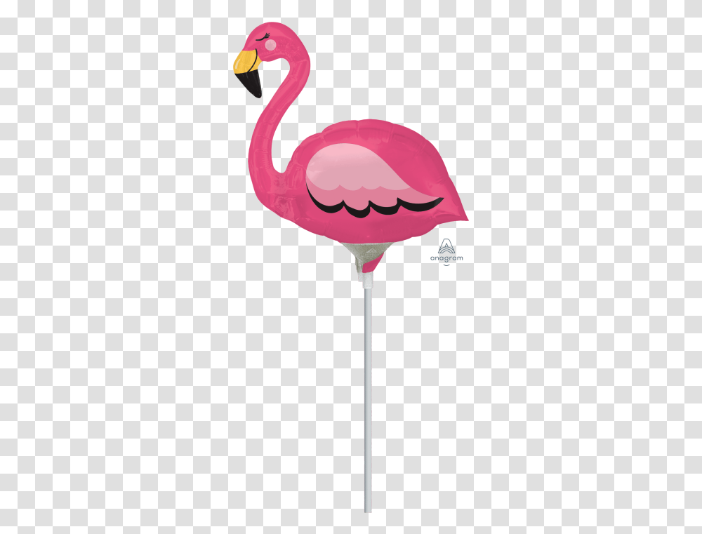 Pink Flamingo, Bird, Animal Transparent Png