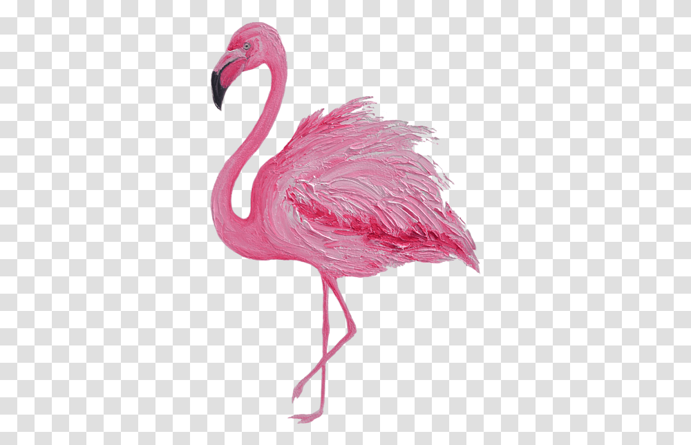 Pink Flamingo, Bird, Animal Transparent Png