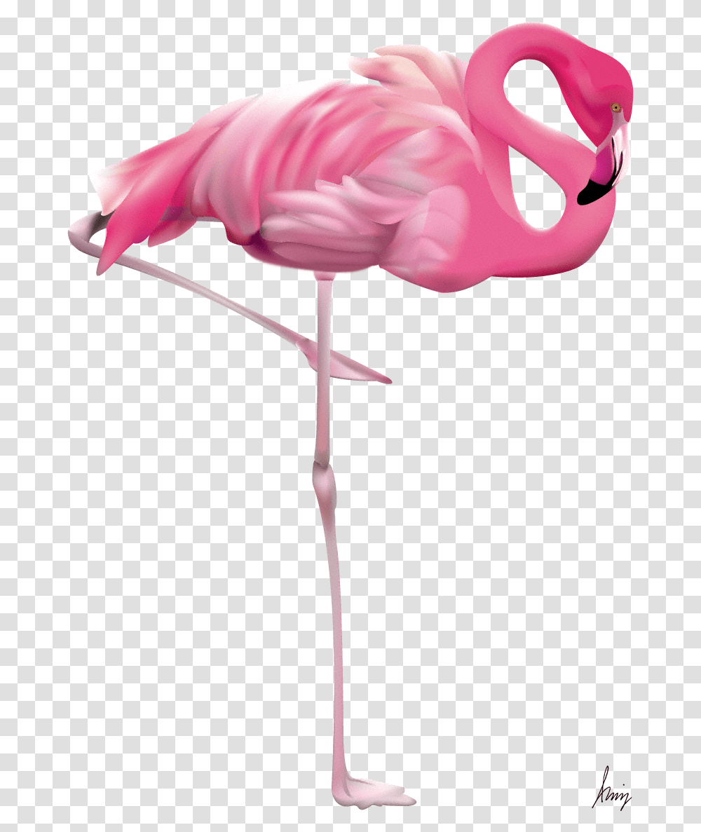 Pink Flamingo, Bird, Animal Transparent Png