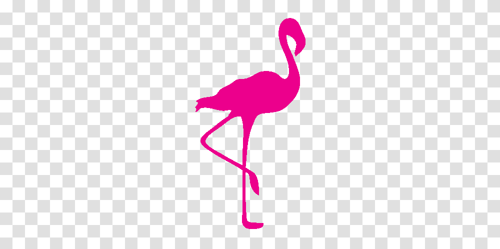 Pink Flamingo Clip Art, Animal, Bird, Waterfowl, Jay Transparent Png