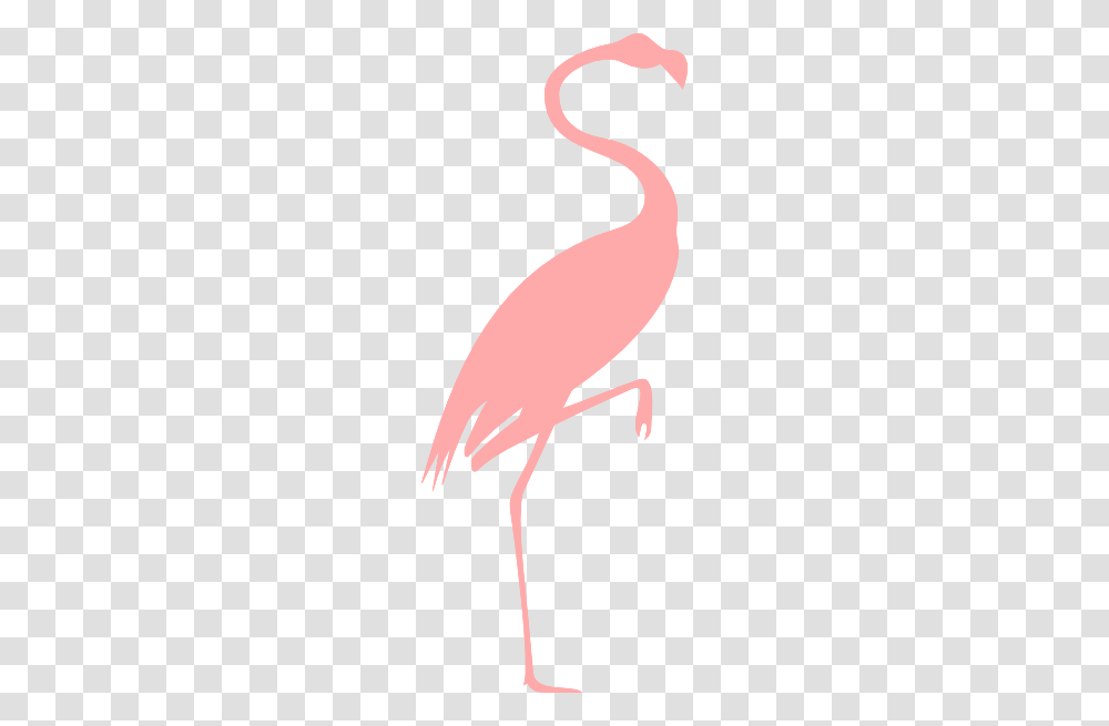 Pink Flamingo Clip Art, Animal, Invertebrate, Insect, Bird Transparent Png