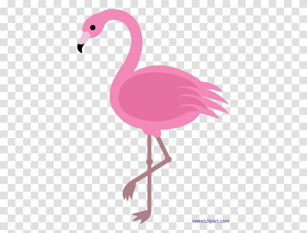Pink Flamingo Clip Art, Bird, Animal, Lamp Transparent Png