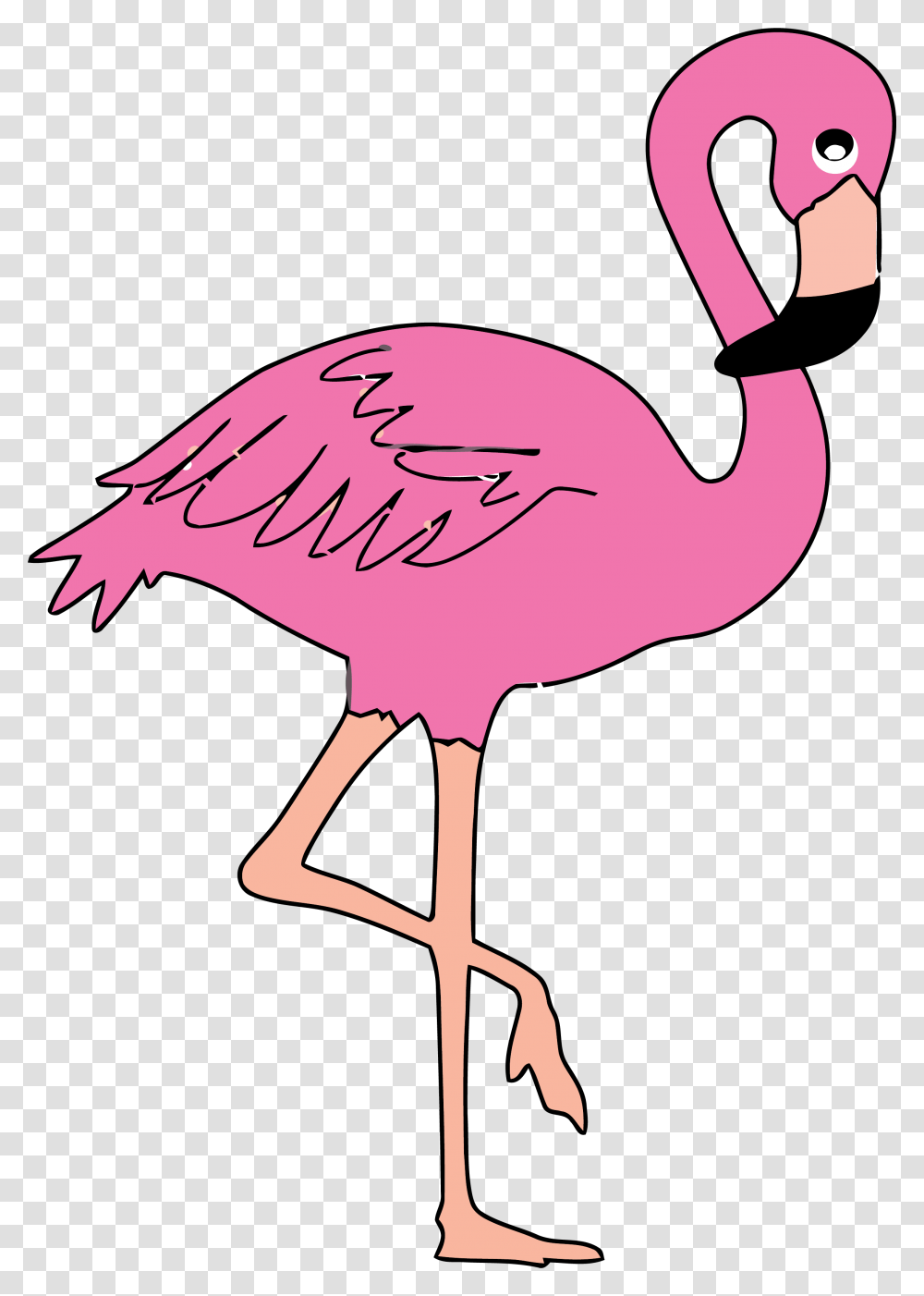 Pink Flamingo Clip Art Flamingo, Bird, Animal, Blow Dryer, Appliance Transparent Png