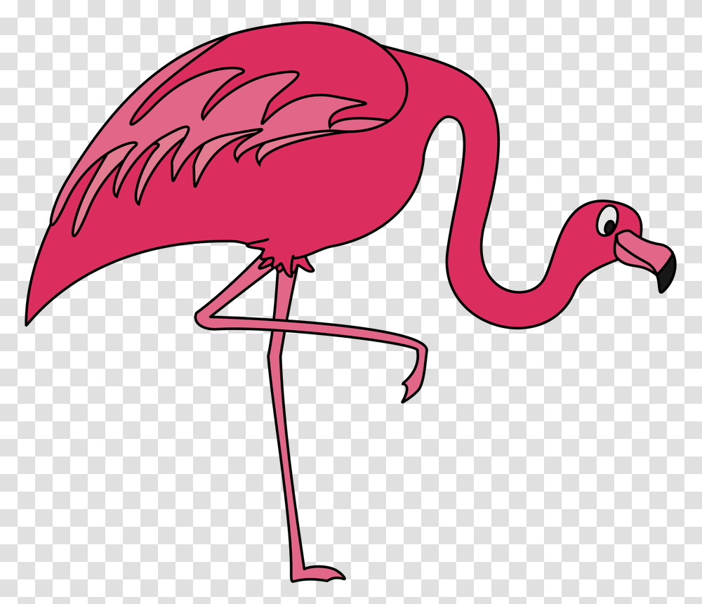 Pink Flamingo Clip Art Flamingoclip Art, Bird, Animal Transparent Png