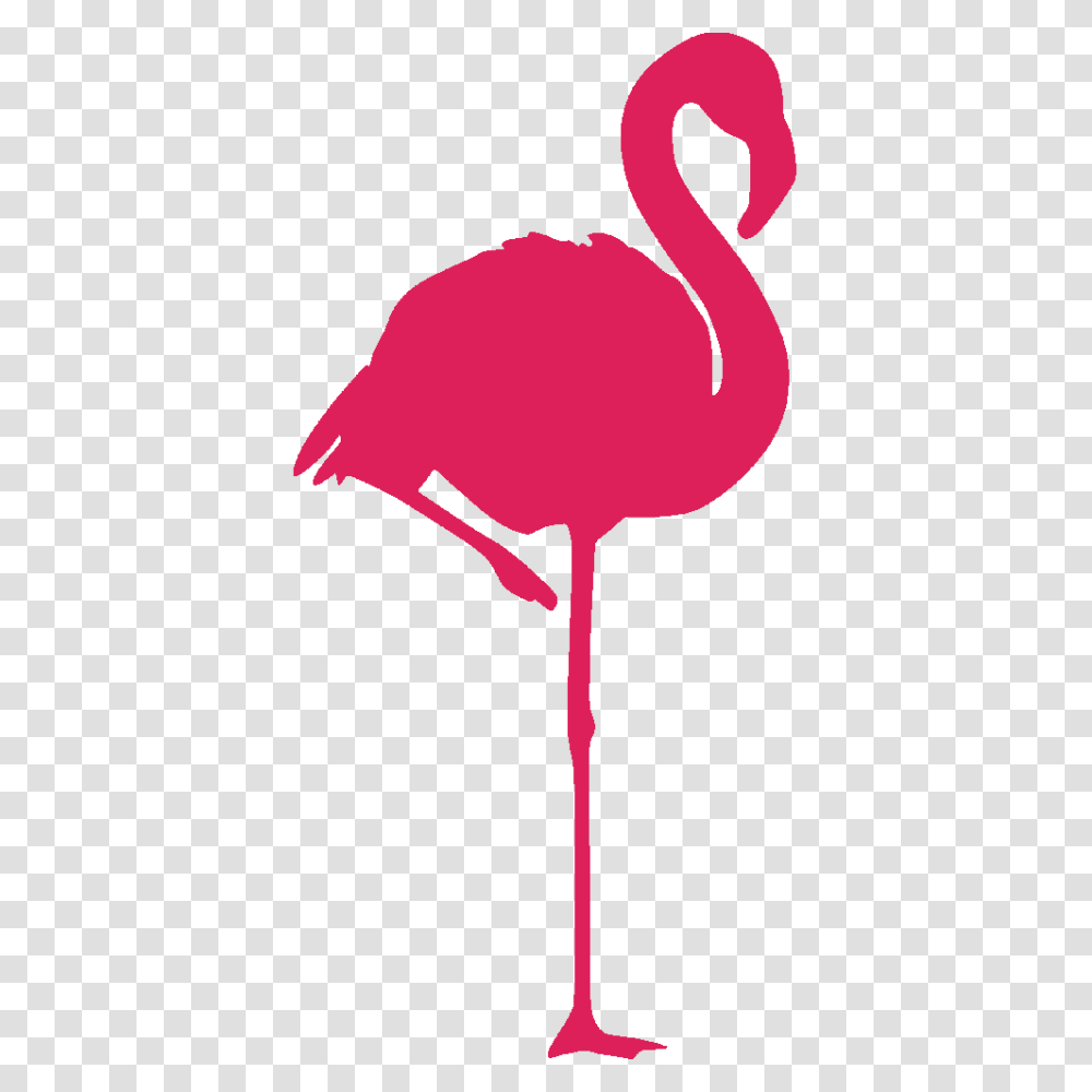 Pink Flamingo Clip Art Free, Logo, Trademark, Plant Transparent Png