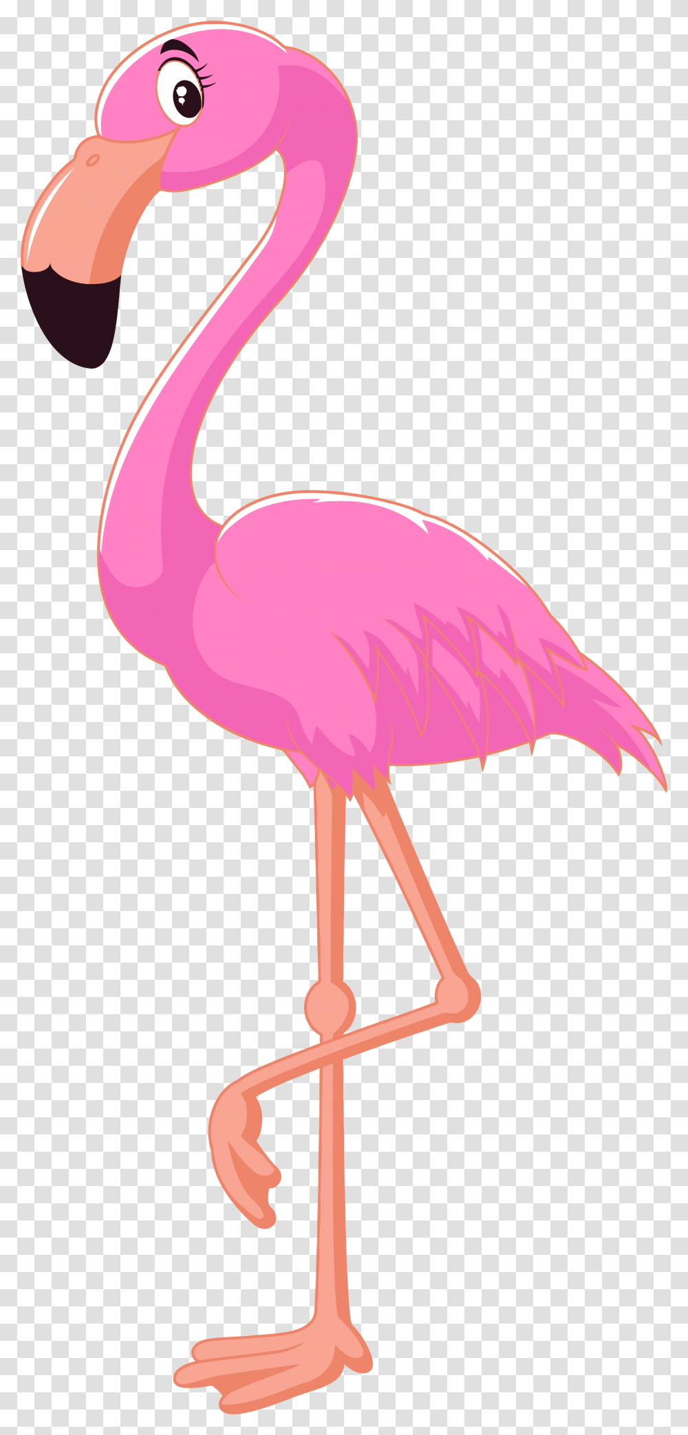 Pink Flamingo Clipart, Bird, Animal, Lamp, Beak Transparent Png
