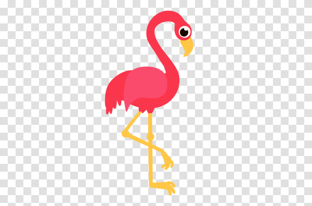 Pink Flamingo Free Images, Bird, Animal, Beak Transparent Png