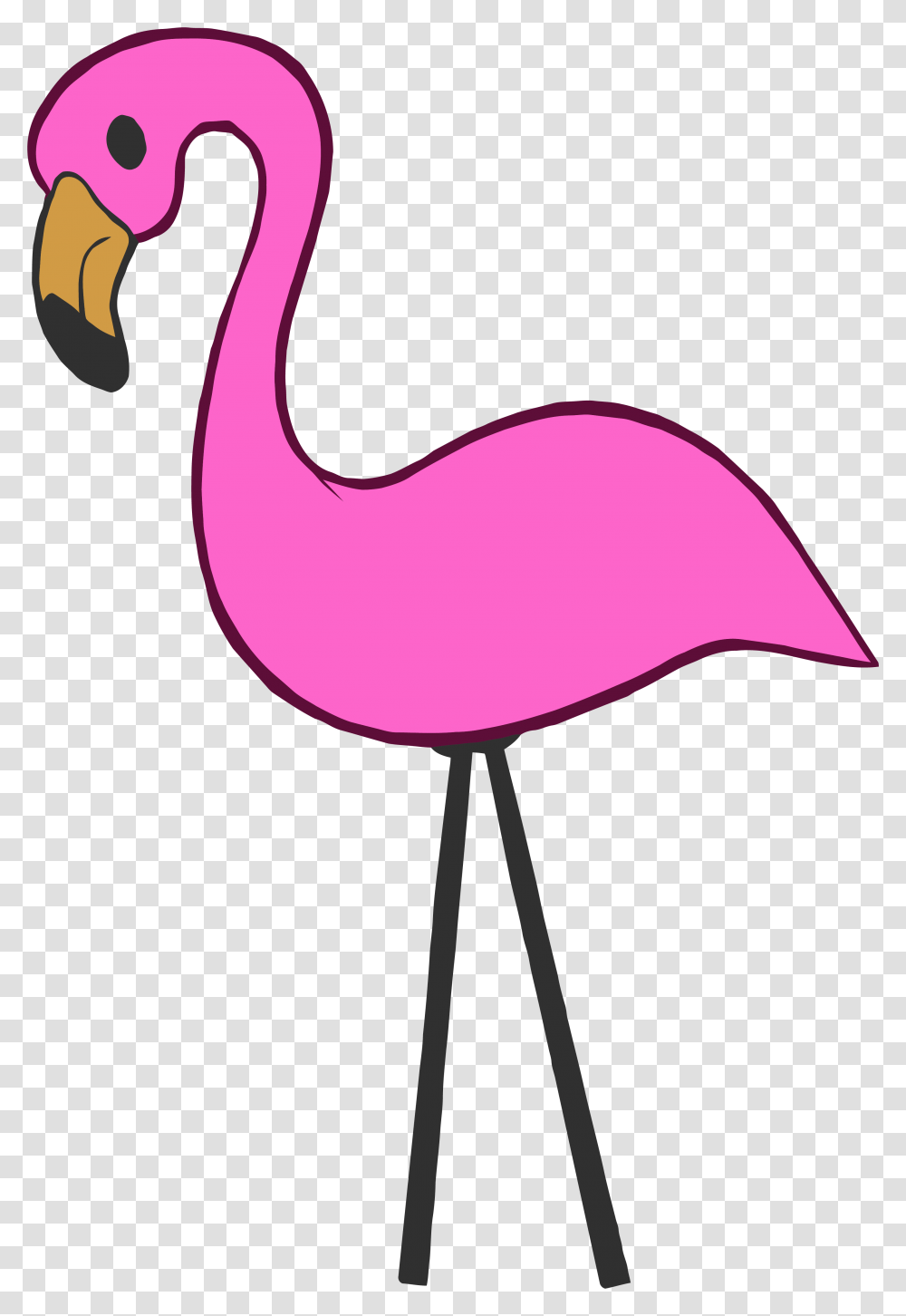 Pink Flamingo Hot Pink Flamingo Clipart, Animal, Lamp Transparent Png