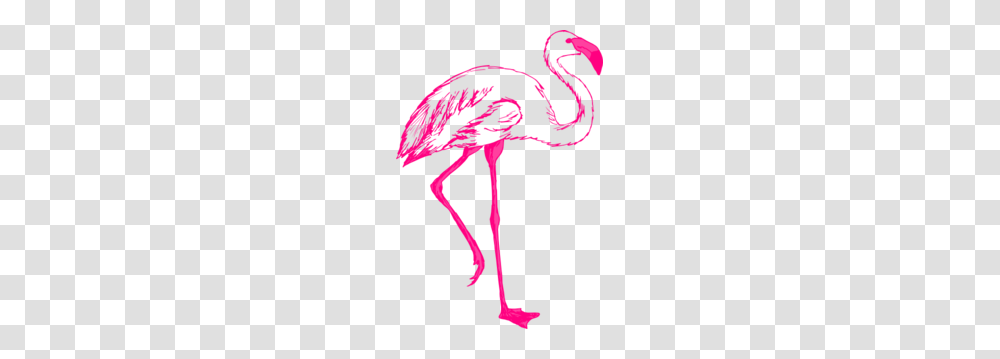 Pink Flamingo Outline Clip Art, Animal, Bird, Sea Life, Seafood Transparent Png
