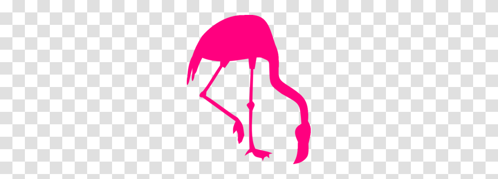 Pink Flamingo Silhouette Clip Art, Bird, Animal, Acrobatic Transparent Png