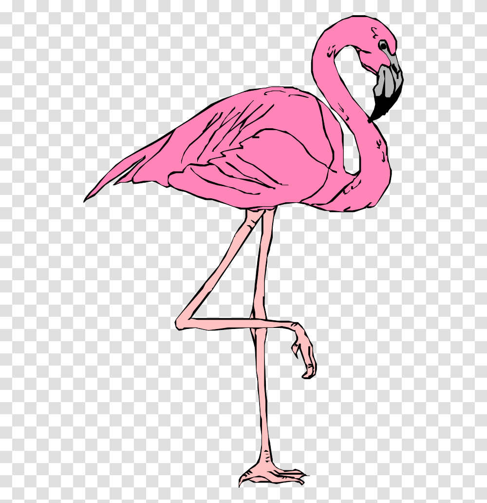 Pink Flamingo Svg Clip Art For Web Roblox T Shirt Background, Bird, Animal Transparent Png