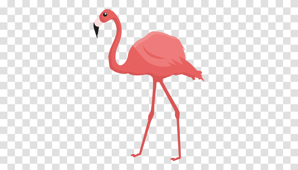 Pink Flamingo Wall Art Sticker, Bird, Animal Transparent Png